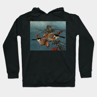 Jays by Ferdinand von Wright Hoodie